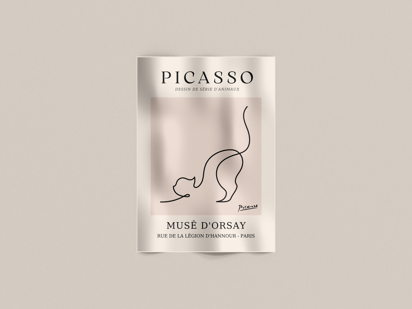 Cat Reverse – Picasso